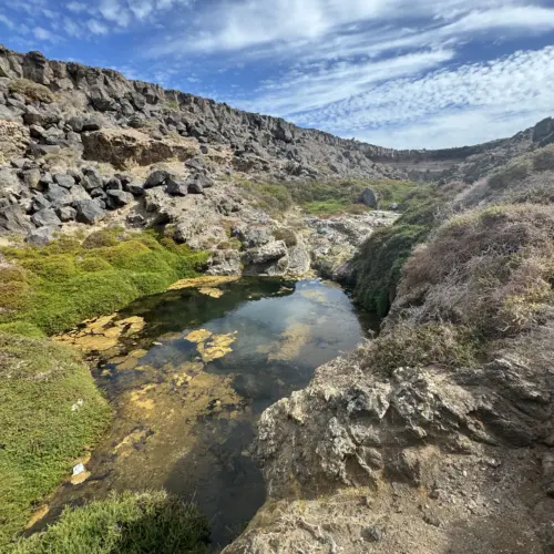 IMG_3950 2tebeto_result